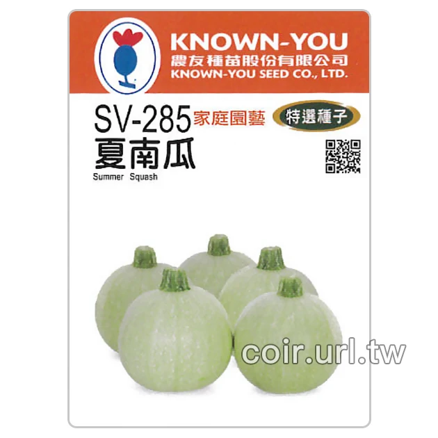 白球櫛瓜.夏南瓜種子 Summer Squash 節瓜
