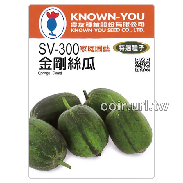 金剛絲瓜種子 Sponge Gourd 菜瓜