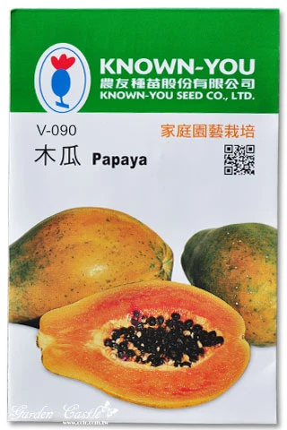 木瓜種子Papaya