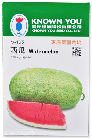 西瓜(大果紅肉)~Watermelon~種子