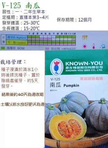 南瓜種子Pumpkin