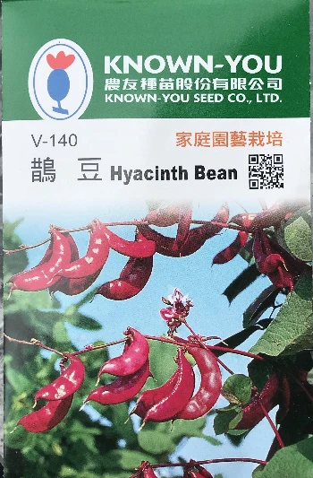 鵲豆~Hyacinth Bean~種子