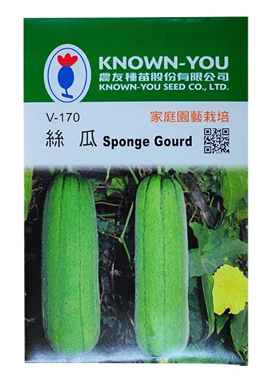 絲瓜(菜瓜)種子Sponge Gourd