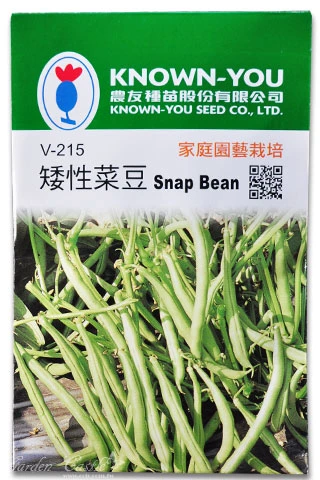 矮性菜豆(四季豆)種子Snap Bean