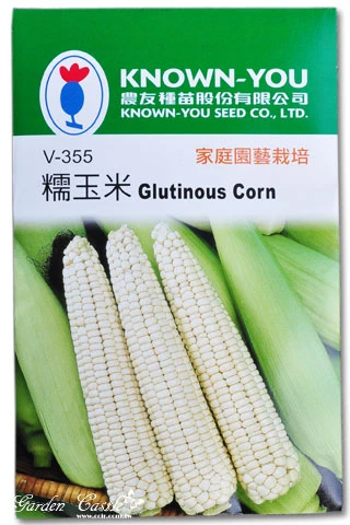 糯玉米種子~Glutinous Corn seed