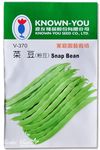 菜豆(粉豆、醜豆)~Snap Bean