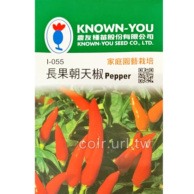 長果朝天椒