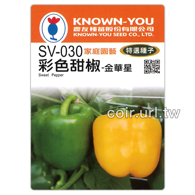 彩色甜椒-金華星(黃色甜椒)種子 Sweet Pepper