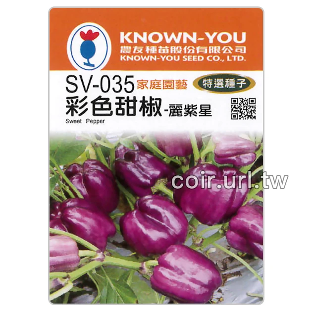 彩色甜椒-艷紫星(紫色甜椒)種子 Sweet Pepper