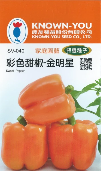 彩色甜椒-金明星種子（橘色甜椒）~Sweet Pepper