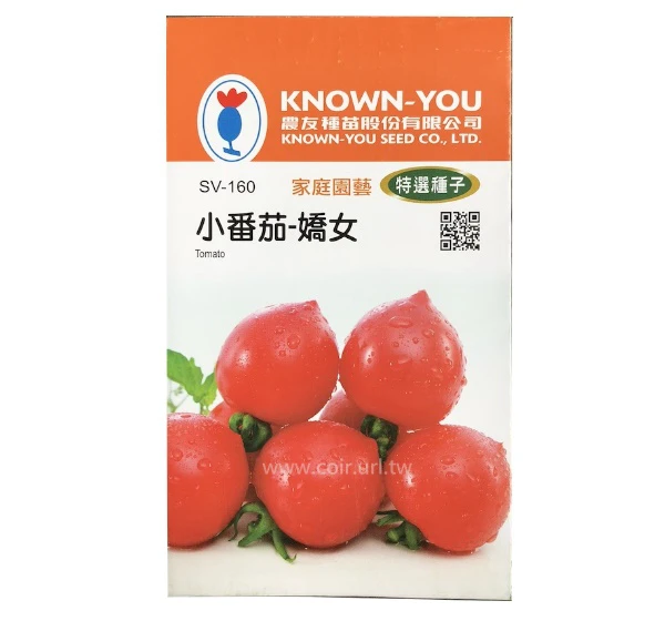 冠軍小番茄-「嬌女」種子