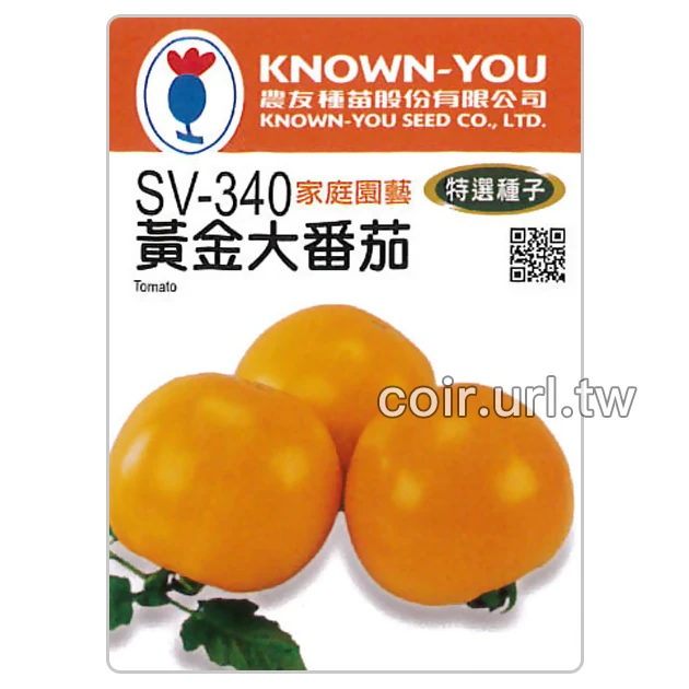 黃金大番茄種子 Tomato