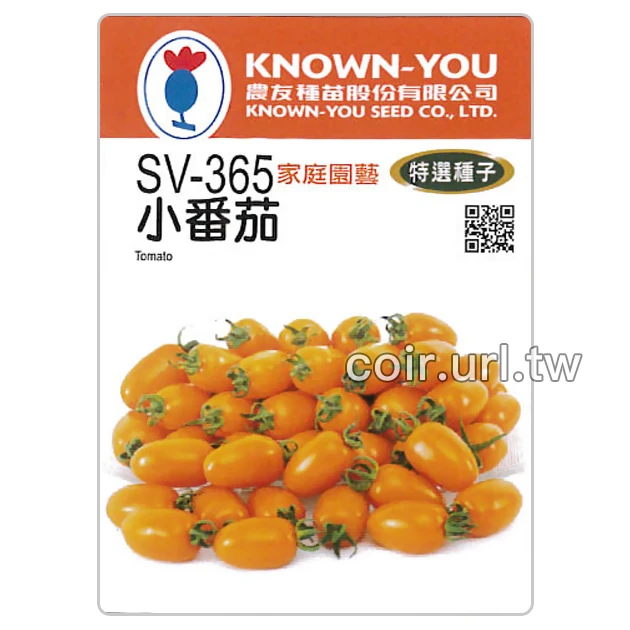 黃橙小番茄種子（長） Tomato