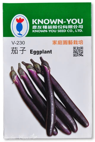 茄子~Eggplant