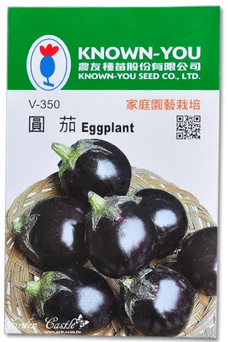 圓茄子~Eggplant
