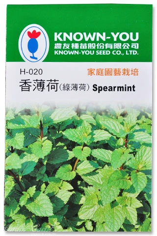 香薄荷種子（綠薄荷）~Spearmint