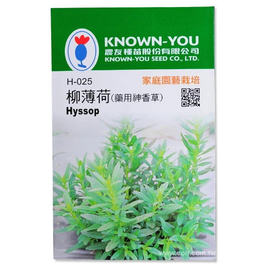 柳薄荷種子 藥用神香草 牛膝草海壽花~Hyssop