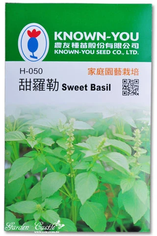 甜羅勒 綠蘿勒~Sweet Basil 青醬