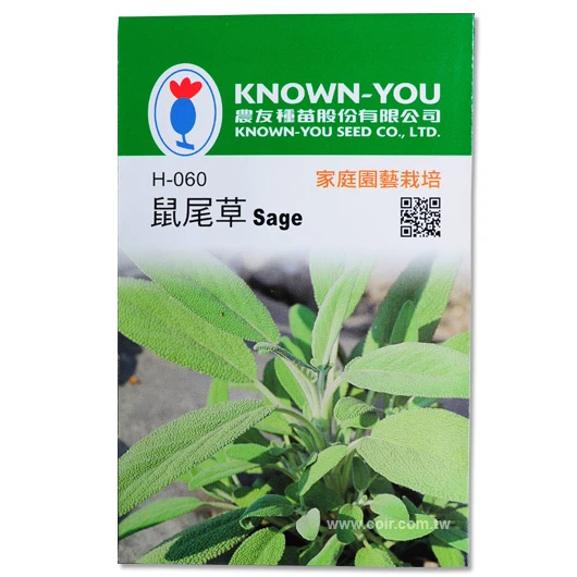 鼠尾草~Sage