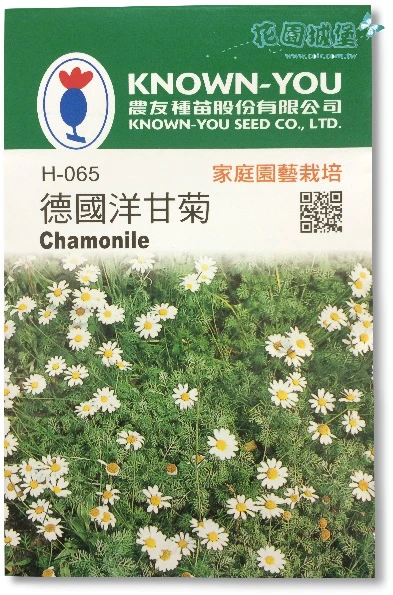 德國洋甘菊 母菊種子~Chamonile