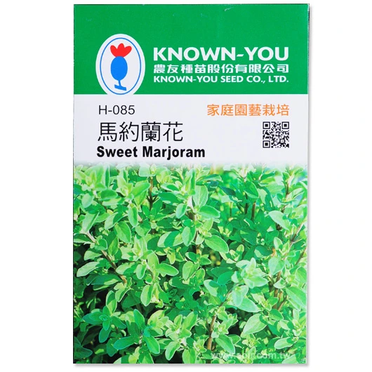 馬約蘭花~Sweet Marjoram（馬鬱蘭、墨角蘭、馬郁蘭）