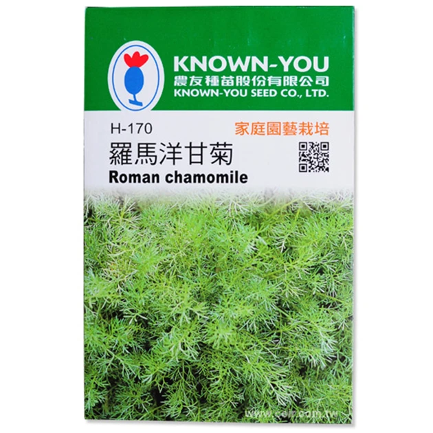羅馬洋甘菊~Roman chamomile