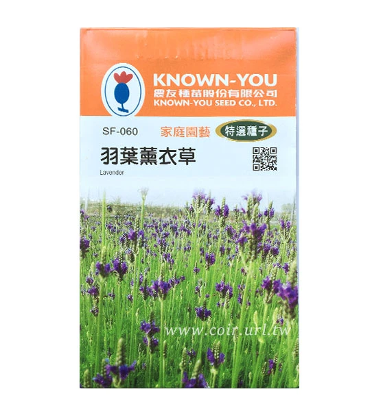 羽葉薰衣草種子~Feather lavender