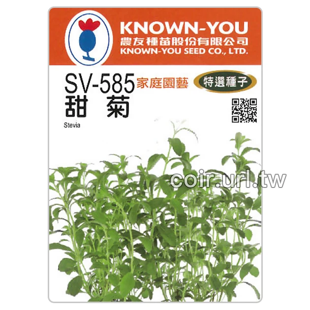 甜菊種子 Stevia