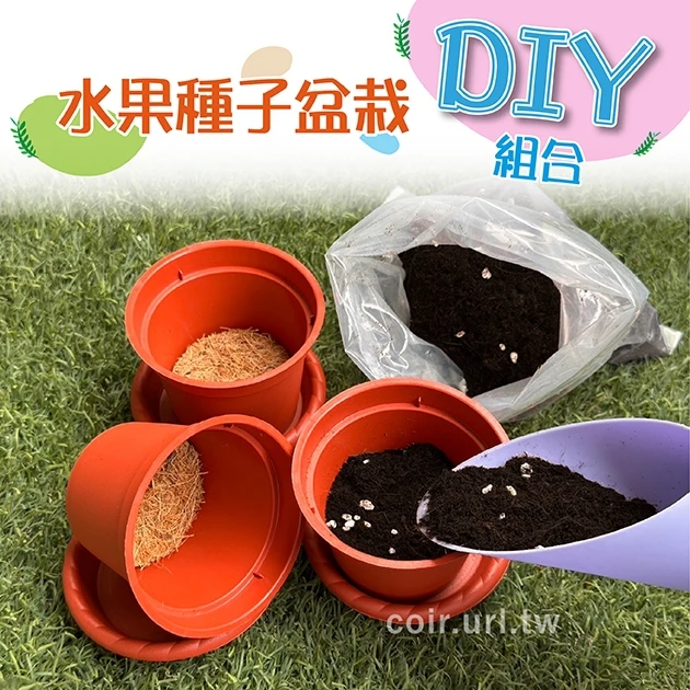 水果種子盆栽DIY組合(備好好材料組)