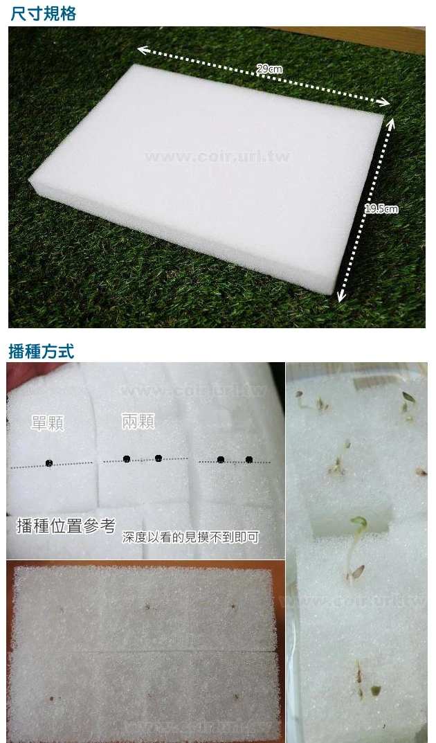 播種育苗專用綿(水耕泡棉 水耕綿 種子棉 育苗棉育苗塊)