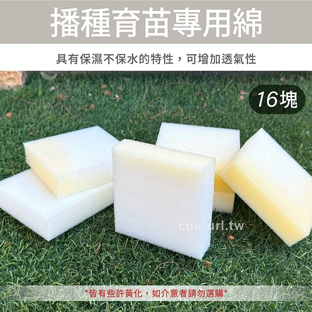 播種育苗專用綿(水耕泡棉 水耕綿 種子棉 育苗棉育苗塊)