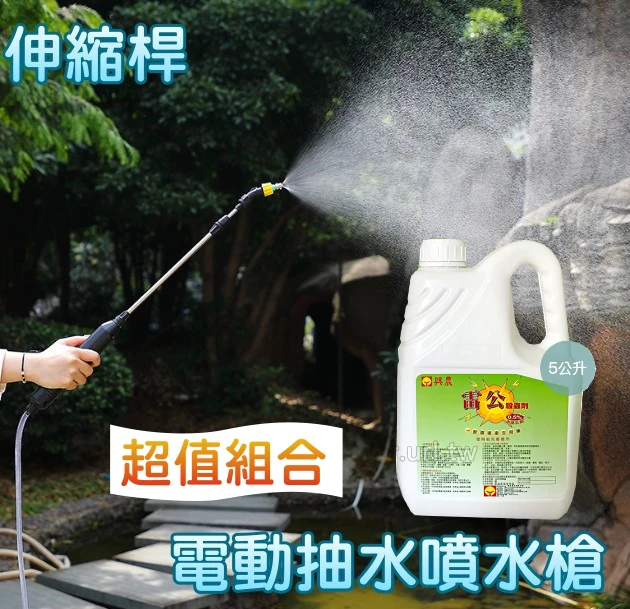 「特價組」可伸縮桿電動噴霧槍 附長吸管＋速效雷公殺蟲劑