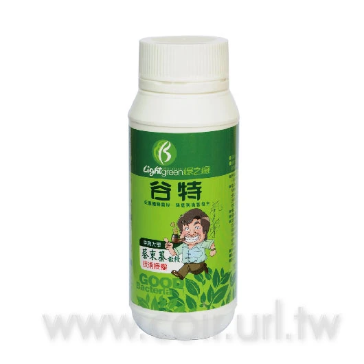 谷特菌(新蔡18菌)放線菌種
