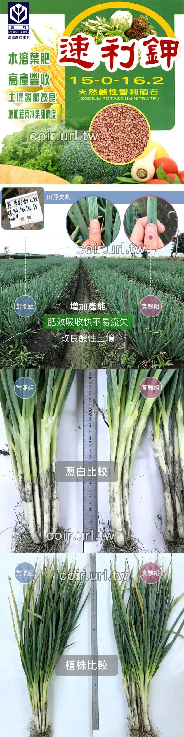 德城速利鉀（15-0-16.2）天然智利硝石硝酸鉀肥料
