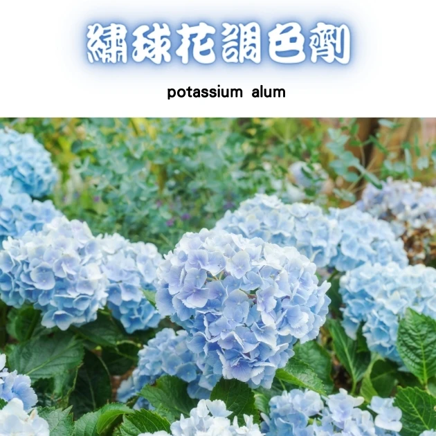 硫酸鋁鉀（藍色繡球花調色劑）