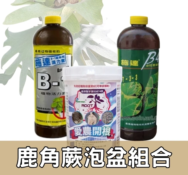 鹿角蕨泡盆專用營養組合（鹿角蕨、觀葉肥料 預防爛根）