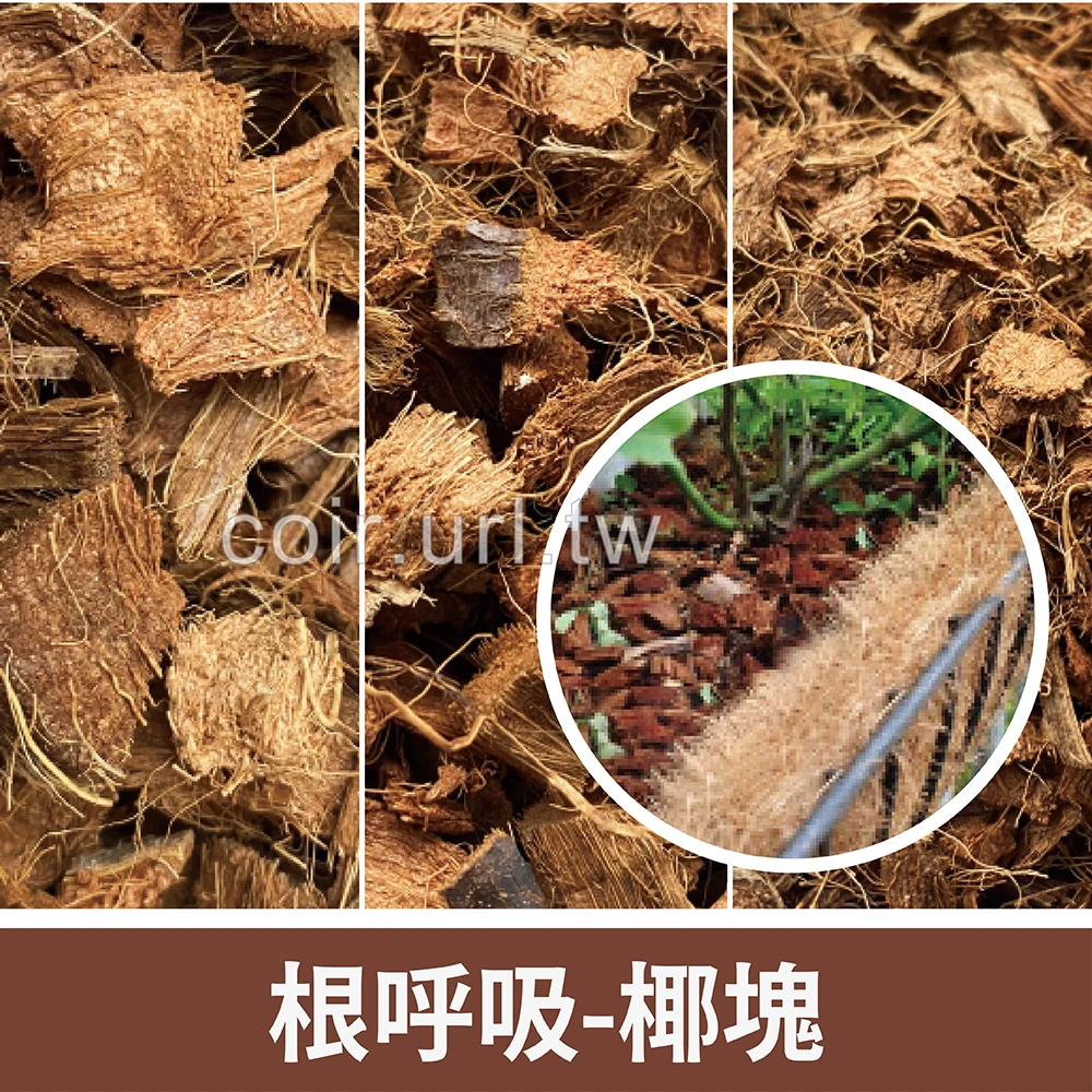 根呼吸-椰塊Coconut husk pieces壓縮包