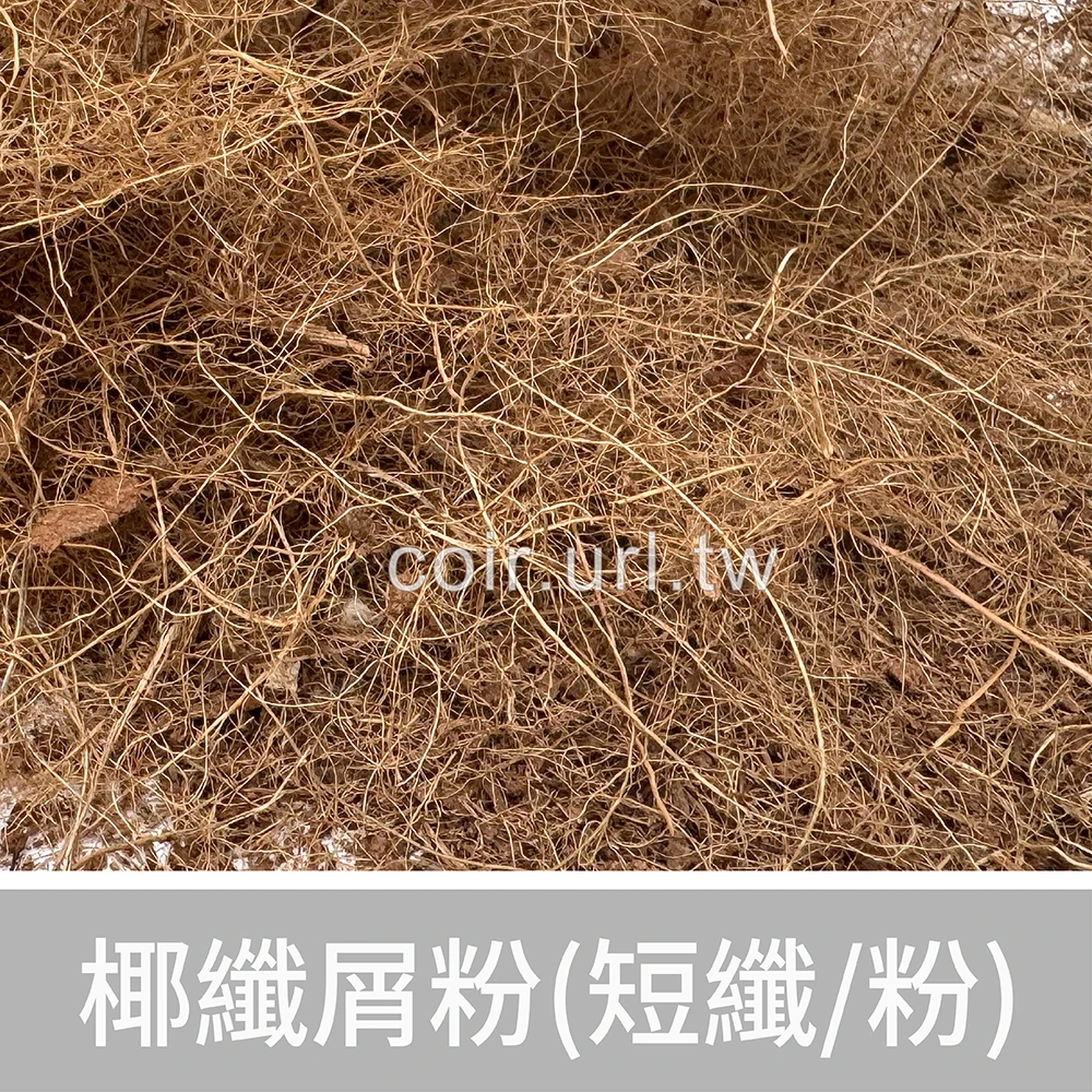 椰纖屑(椰子纖維-短纖)