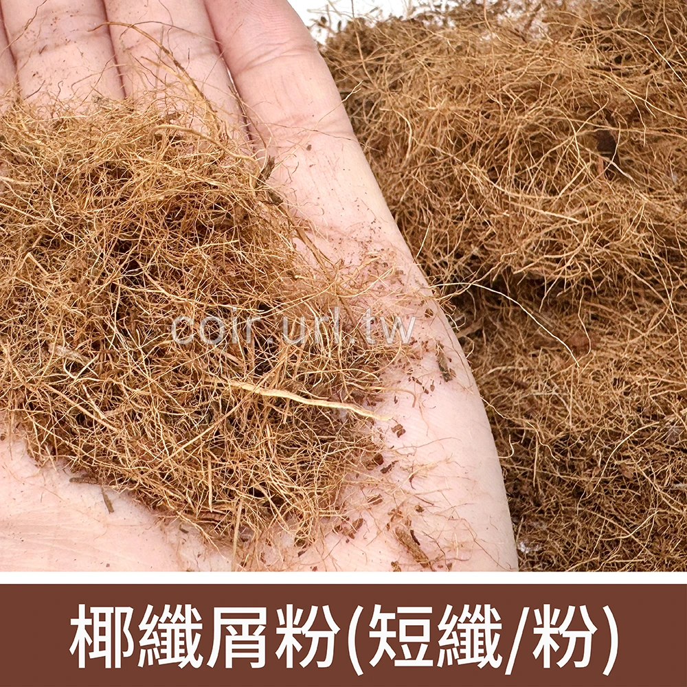 椰纖屑粉(椰子纖維-短纖、粉)