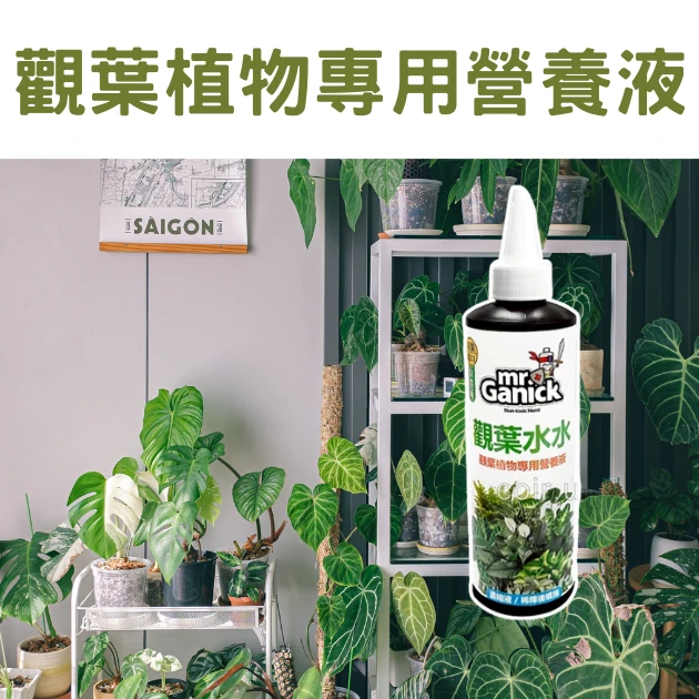 Mr. Ganick 觀葉植物專用營養液（20X濃縮液）-250ml