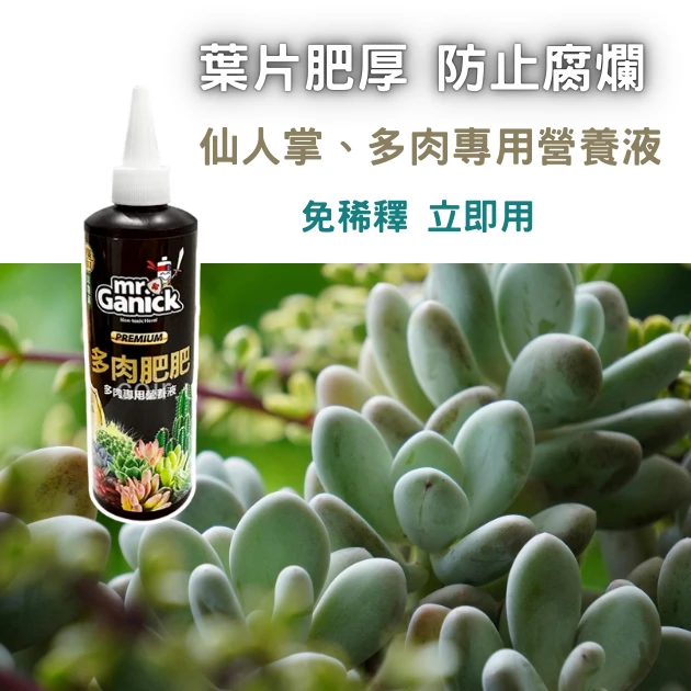 Mr. Ganick 仙人掌多肉植物專用營養液（免稀釋）