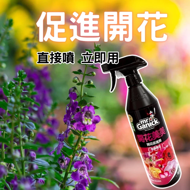 Mr. Ganick 開花美美開花促進劑（RTU免稀釋噴霧瓶）