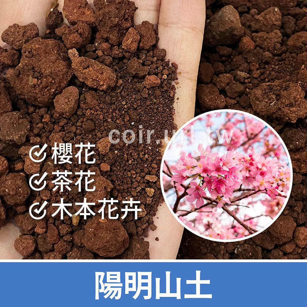 陽明山土(顆粒土)櫻花茶花木本花卉