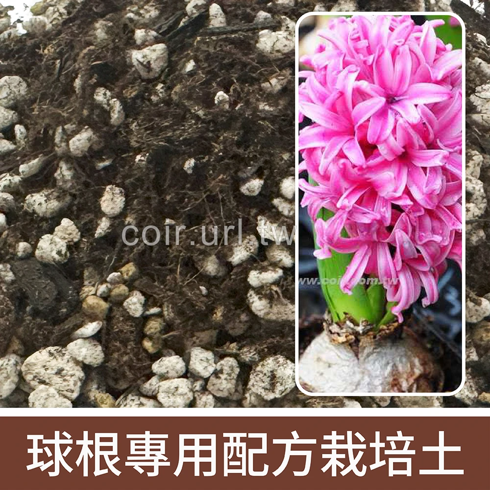 球根專用栽培土(4公升)