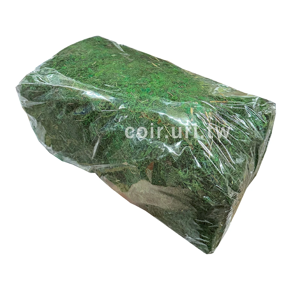 綠色水苔1公斤(綠水苔、綠水草)