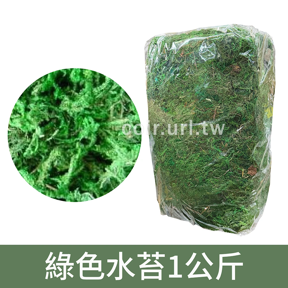 綠色水苔1公斤(綠水苔、綠水草)