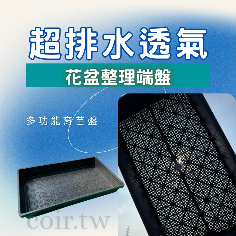 超排水透氣育苗盤 花盆整理端盤