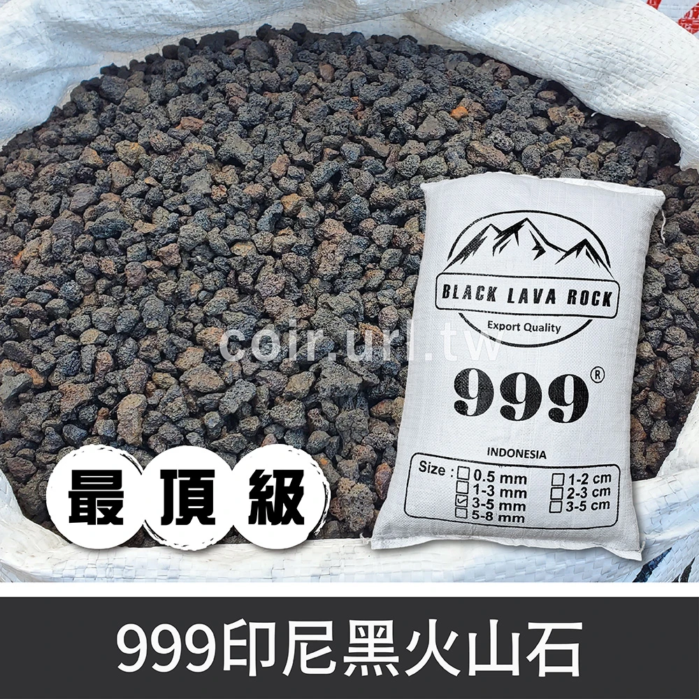 999印尼黑火山石(多肉石蘭花石)Black Lava Rock 花園夢想家