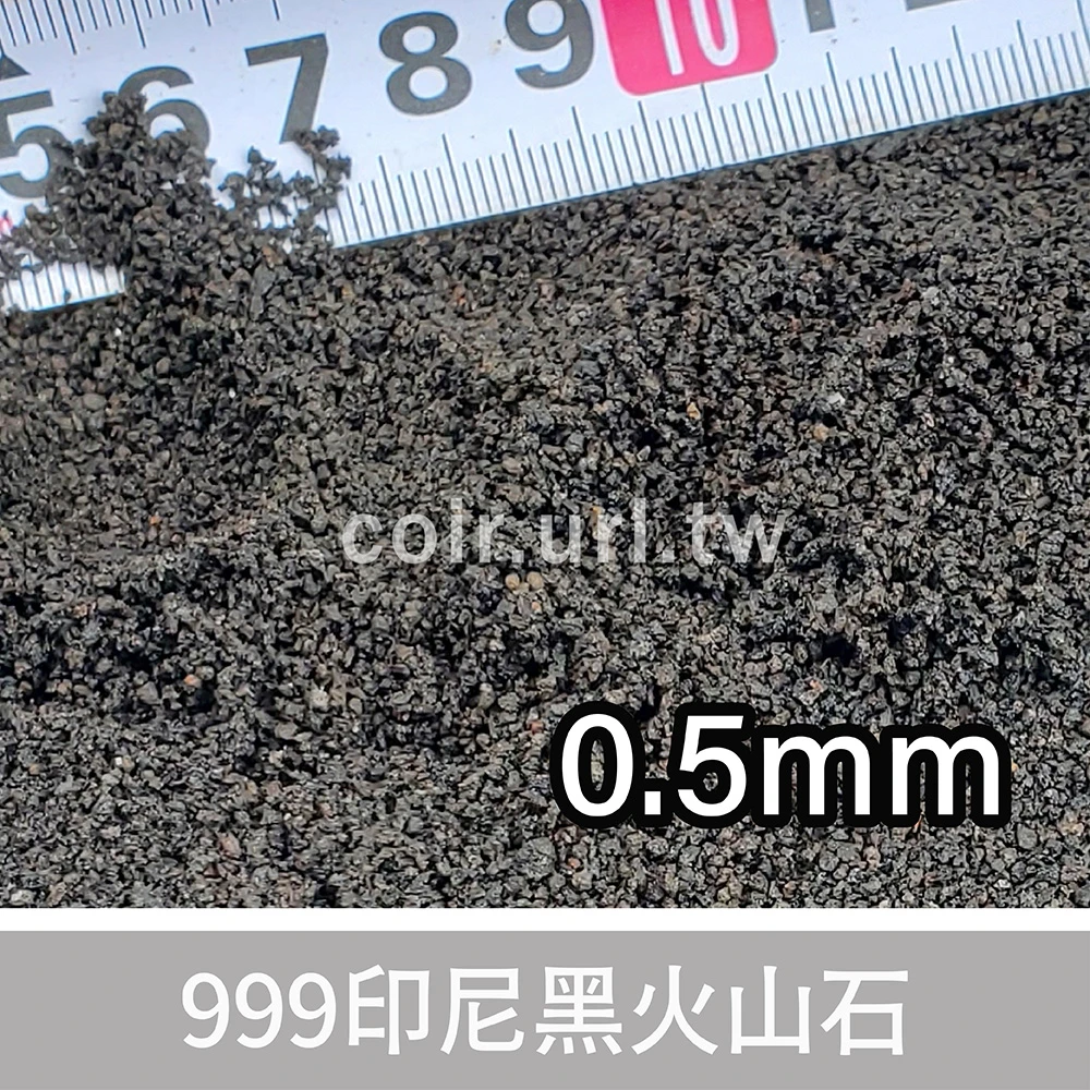 999印尼黑火山石(多肉石 蘭花石)Black Lava Rock