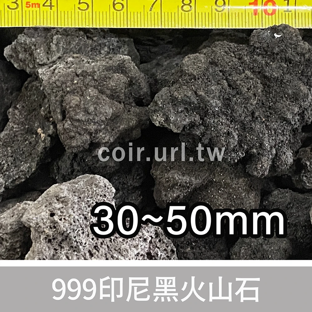 天然物火山石 999印尼黑火山石(多肉石蘭花石)Black Lava Rock 花園夢想家